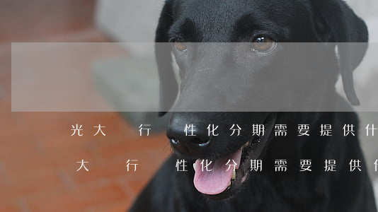 光大銀行個性化分期需要提供什么證明-光大銀行個性化分期需要提供什么證明材料
