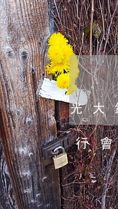光大銀行停息掛賬技巧(光大銀行停息掛賬銀行會(huì)同意嗎)