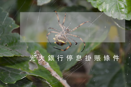 光大銀行停息掛賬條件