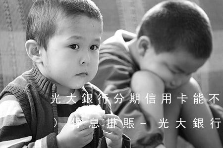 光大銀行分期信用卡能不能申請(qǐng)停息掛賬-光大銀行分期信用卡能不能申請(qǐng)停息掛賬業(yè)務(wù)