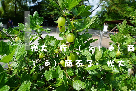 光大銀行協(xié)商個性化分期協(xié)商不了-光大銀行協(xié)商個性化分期協(xié)商不了怎么辦