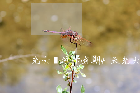 光大銀行卡逾期4天(光大銀行卡逾期4天)