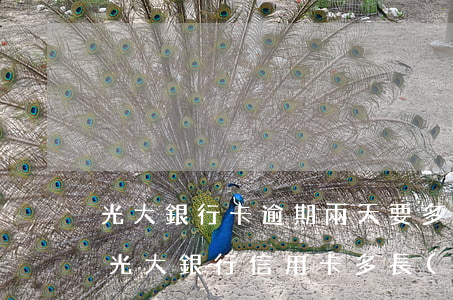 光大銀行卡逾期兩天要多少錢(qián)（光大銀行信用卡多長(zhǎng)時(shí)間算逾期）