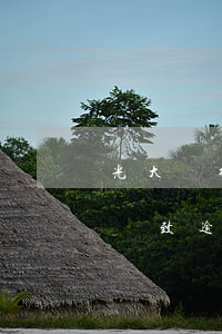 光大銀行年費導致逾期怎么辦(光大銀行年費導致逾期怎么辦呢)