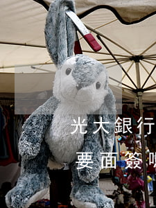 光大銀行怎么停息掛賬(光大銀行停息掛賬需要面簽嗎)