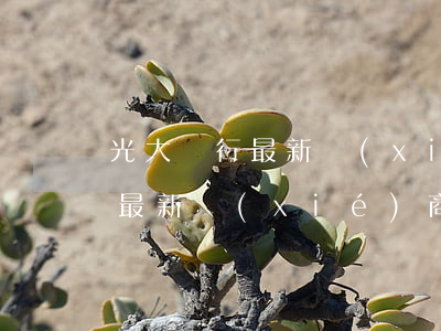 光大銀行最新協(xié)商還款(光大銀行最新協(xié)商還款政策)