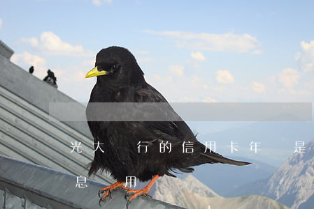 光大銀行的信用卡年費是多少（光大信用卡利息費用）