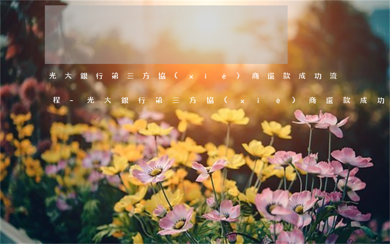 光大銀行第三方協(xié)商還款成功流程?-光大銀行第三方協(xié)商還款成功流程