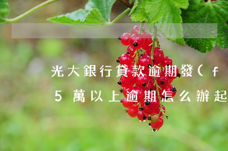 光大銀行貸款逾期發(fā)律師(光大銀行5萬以上逾期怎么辦起訴后)