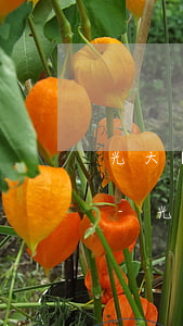 光大銀行逾期15萬3個(gè)月被起訴-光大銀行逾期15萬3個(gè)月被起訴會(huì)怎樣