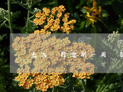 光大銀行逾期一周還款會上征信-
