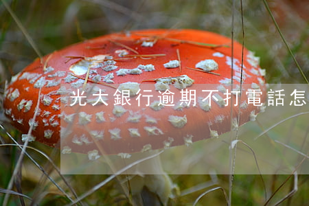 光大銀行逾期不打電話怎么回事-