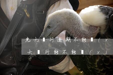 光大銀行逾期不能協(xié)商還款嗎(光大銀行能不能協(xié)商還款)