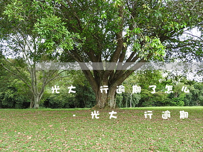 光大銀行逾期了怎么協(xié)商停息掛賬-光大銀行逾期協(xié)商還款方式協(xié)商多少