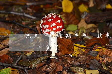 光大銀行逾期半年還款(光大銀行信用卡逾期兩年多了)