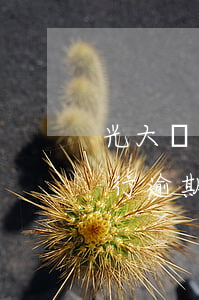光大銀行逾期多少個月停止違約金-光大銀行逾期多少個月停止違約金了
