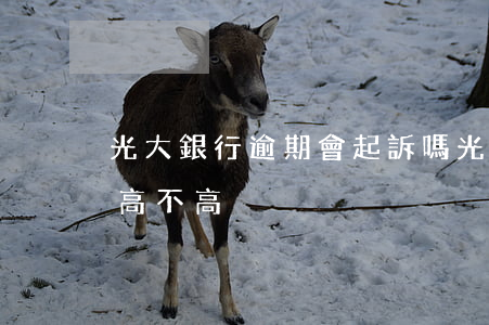 光大銀行逾期會起訴嗎(光大銀行逾期起訴率高不高)