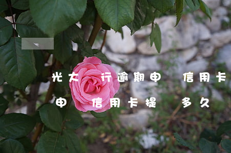 光大銀行逾期申請信用卡提額(光大銀行逾期申請信用卡提額多久)