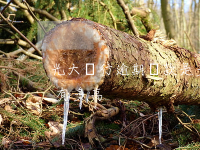 光大銀行逾期還款是多久(光大銀行逾期利息有多高)