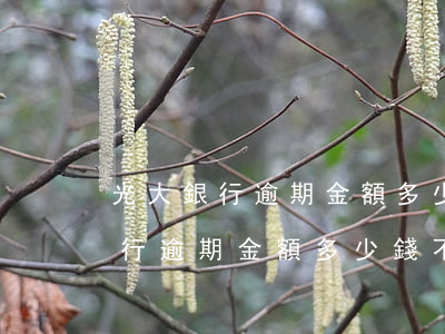 光大銀行逾期金額多少錢不算逾期-光大銀行逾期金額多少錢不算逾期了
