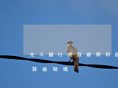 光大銀行還款逾期利息(光大還了最低還款還算逾期嗎)