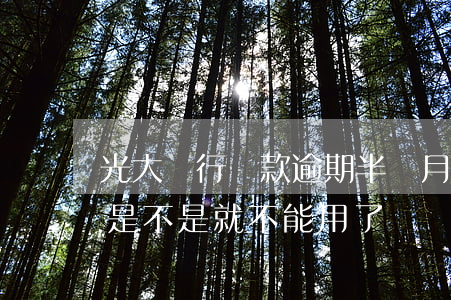 光大銀行還款逾期半個月(光大銀行逾期一次,是不是就不能用了)