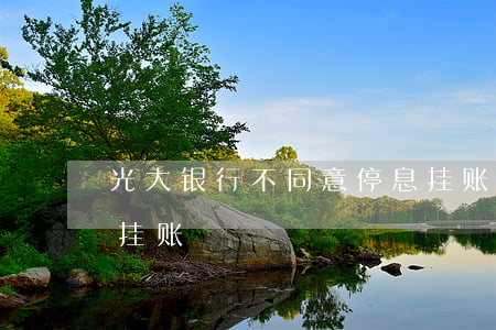 光大银行不同意停息挂账(光大怎么申请停息挂账)