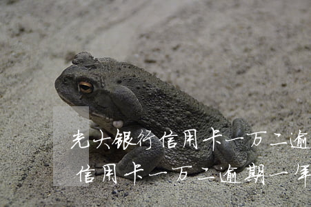光大银行信用卡一万二逾期一年-光大银行信用卡一万二逾期一年利息多少
