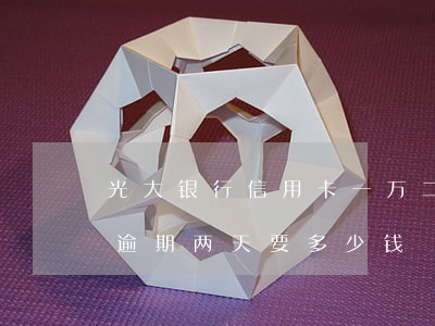 光大银行信用卡一万二逾期一年(光大银行卡逾期两天要多少钱)