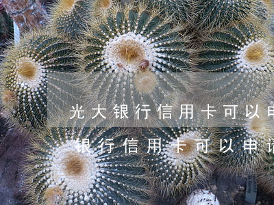 光大银行信用卡可以申请停息挂账吗-光大银行信用卡可以申请停息挂账吗