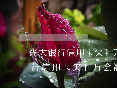 光大银行信用卡欠1万会被起诉吗-光大银行信用卡欠1万会被起诉吗知乎