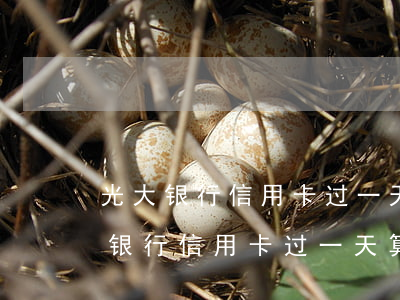 光大银行信用卡过一天算逾期吗怎么样（光大银行信用卡过一天算逾期吗）