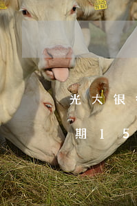 光大银行信用卡逾期13(光大银行信用卡逾期15天打电话说必须还清)
