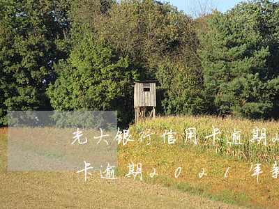 光大银行信用卡逾期2000(光大银行信用卡逾期2021年新规)