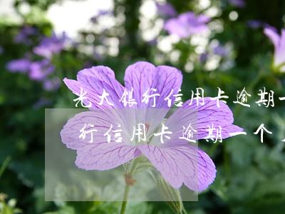 光大银行信用卡逾期一个月上征信-光大银行信用卡逾期一个月上征信吗