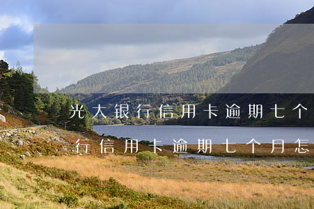 光大银行信用卡逾期七个月怎么办-光大银行信用卡逾期七个月怎么办理