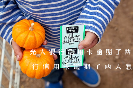 光大银行信用卡逾期了两天怎么办-光大银行信用卡逾期了两天怎么办理