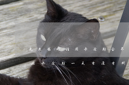 光大银行信用卡逾期会不会起诉(光大银行信用卡逾期一天有没有影响?)