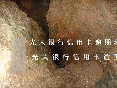 光大银行信用卡逾期利息和滞纳金怎么算-光大银行信用卡逾期利息和滞纳金怎么算的