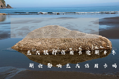 光大银行信用卡逾期半年了(光大银行贷款逾期,会影响光大信用卡吗)