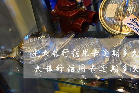 光大银行信用卡逾期多久会被起诉坐牢-光大银行信用卡逾期多久会被起诉坐牢了