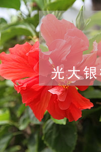 光大银行信用卡逾期家访