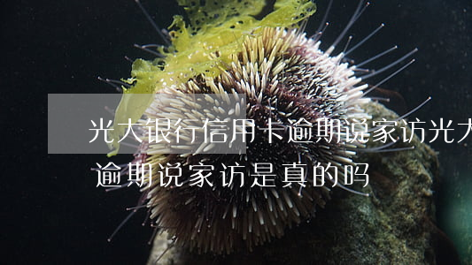 光大银行信用卡逾期说家访(光大银行信用卡逾期说家访是真的吗)