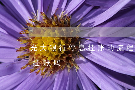 光大银行停息挂账的流程(光大银行可以停息挂账吗)