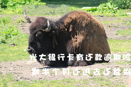 光大银行卡有还款逾期吗(光大银行信用卡逾期半个月还进去还能刷吗)