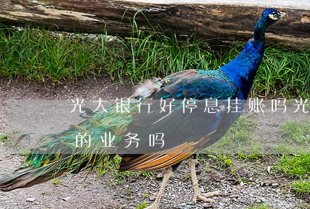 光大银行好停息挂账吗 光大银行有停息还款的业务吗