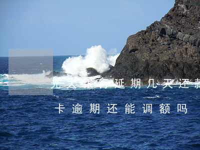 光大银行延期几天还款信用卡（光大银行信用卡逾期还能调额吗）