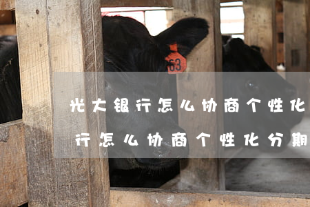 光大银行怎么协商个性化分期还款-光大银行怎么协商个性化分期还款