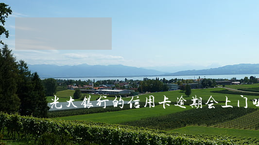 光大银行的信用卡逾期会上门吗
