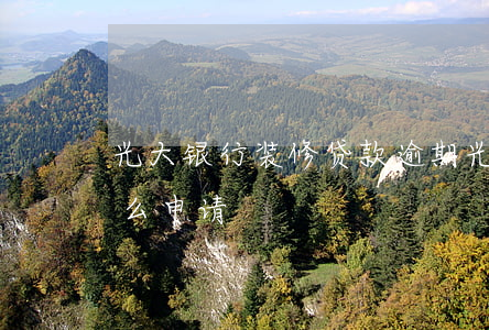 光大银行装修贷款逾期(光大银行装修贷款怎么申请)